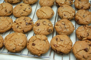 **OLD**  Chocolate Chip Cookies