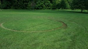 Merriman Soccer Field Damage (5)_2