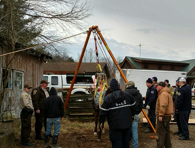 Horse Stuck