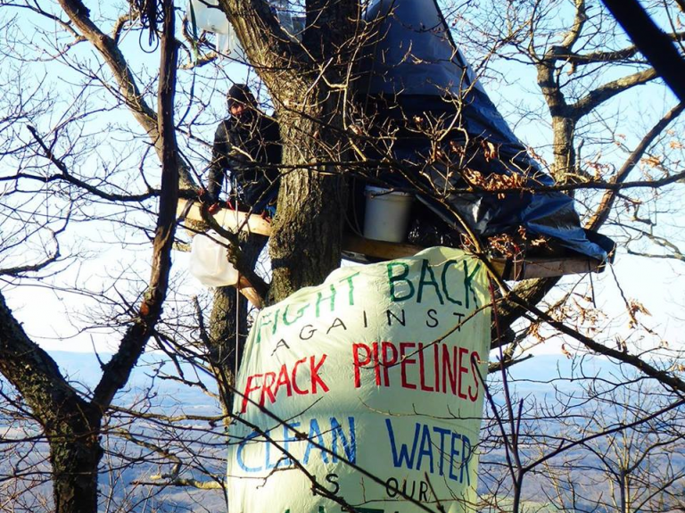 Pipeline Protests