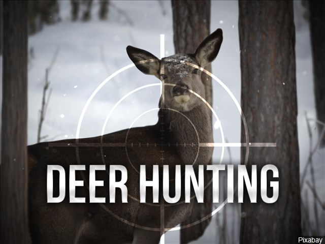 Deer Hunting