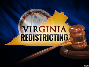 Virginia court picks experts to draw maps for redistricting