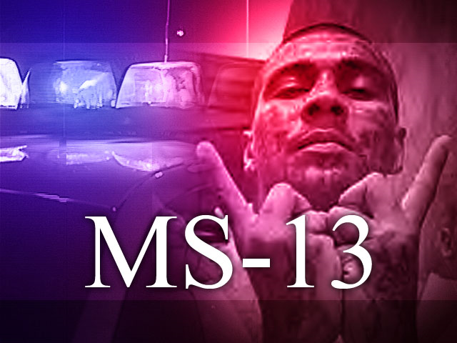 MS-13