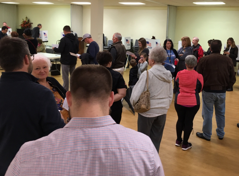 Roanoke County Voting Line