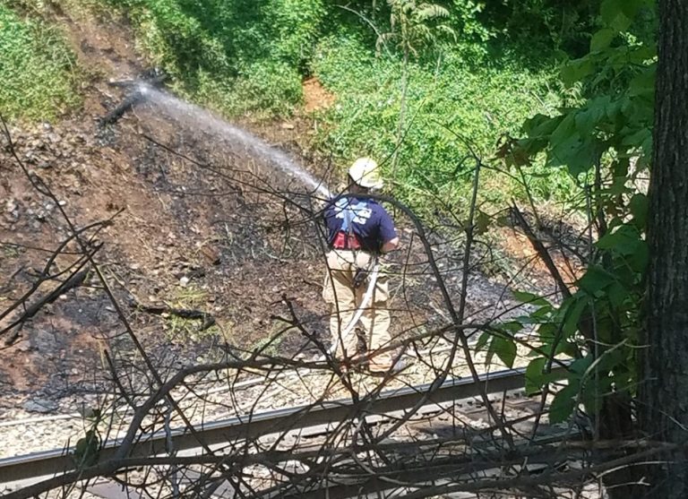 RoCo brush fires