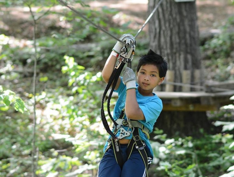 Treetop Quest Explore Park