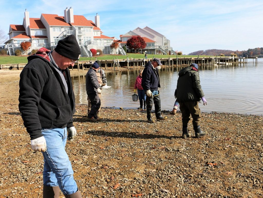 Saving The Mussels Rescuing Bivalves During Claytor Lake Level Drawdown Newstalk 960 Am And Fm 3571