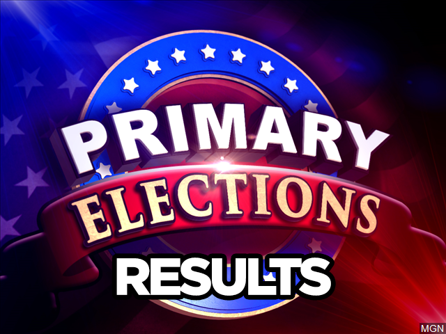 Primary-Election-1