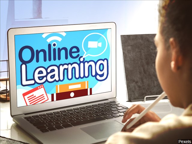 Online virtual learning