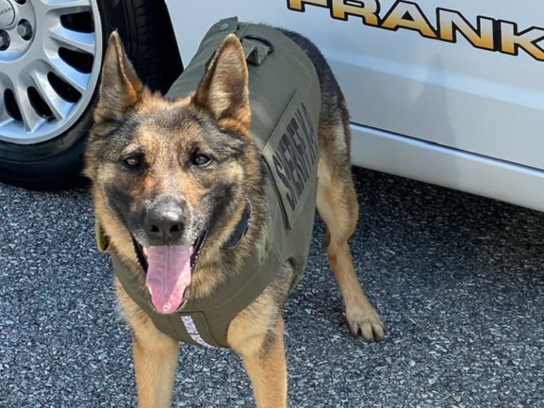 Sasha-Franklin County K9