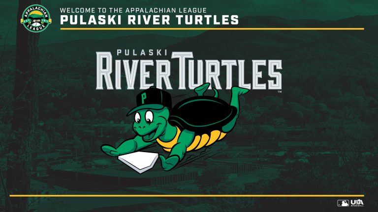 Pulaski River Turtles