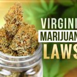 Three new Cannabis Oversight Boards appoint local officials