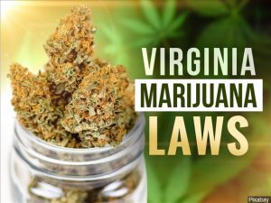 Virginia marijuana legalization timetable has many confused