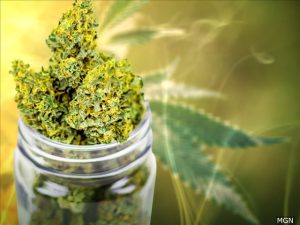 Lawmakers discuss possible establishment of retail marijuana market in Virginia