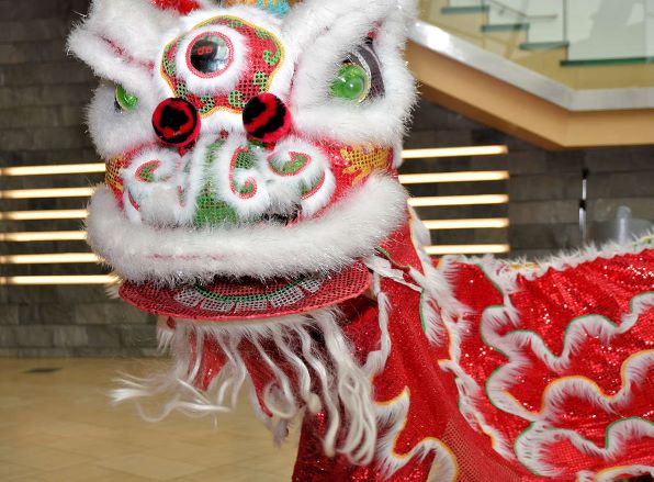 Lunar New Year#2-Taubman Museum photo