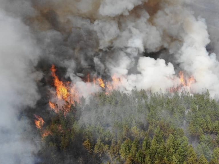 Roanoke County Wildfire