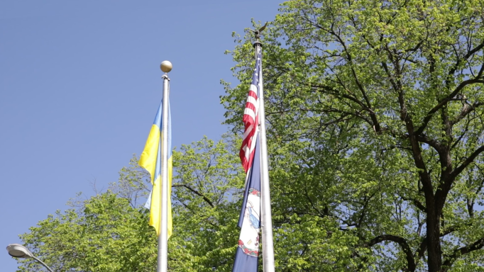 Ukraine Flag