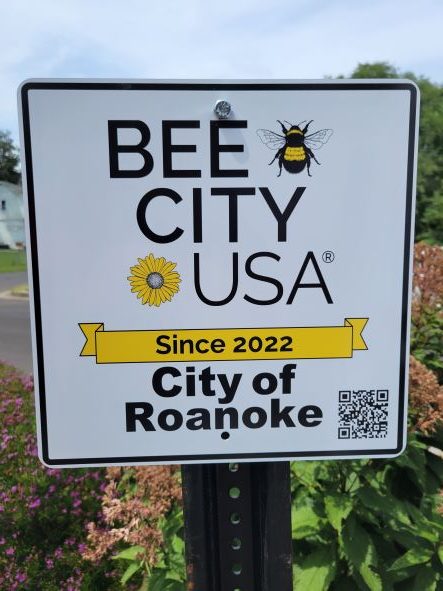 bee City Outside