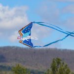 Excitement soars for 2024 Blue Ridge Kite Festival