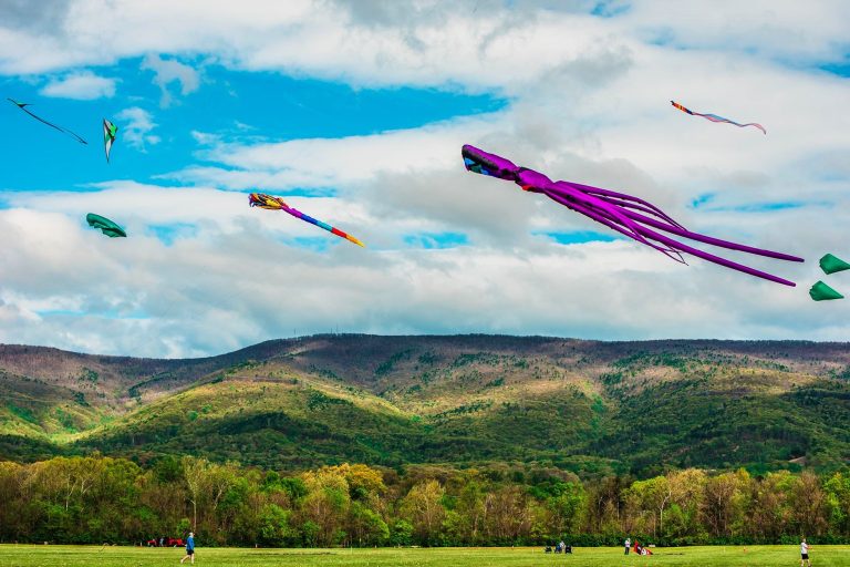 blue ridge kite fest 2024