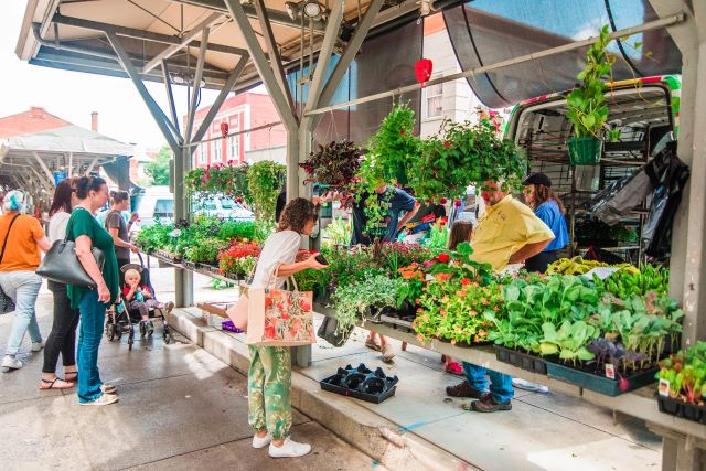 roanoke farmers' market