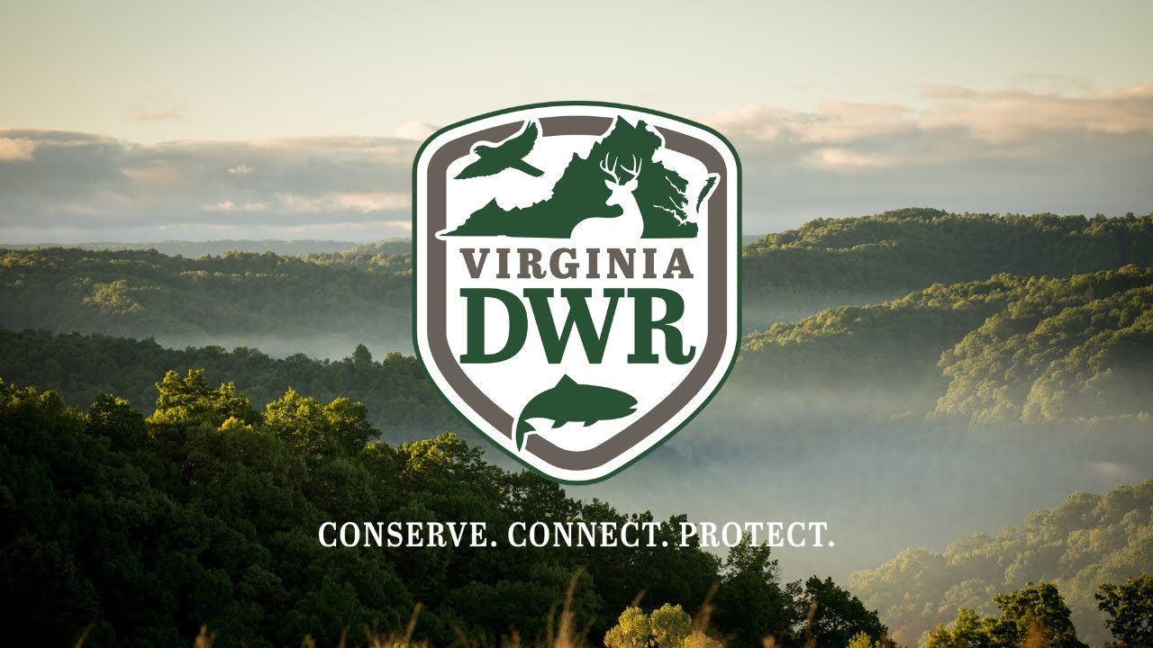 Devils Backbone partners with Virginia wildlife agency on restoration project