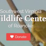 southwest virginia wildlife center