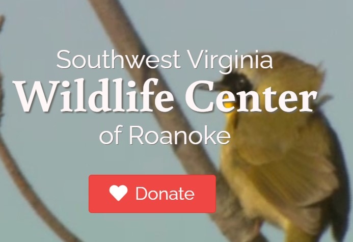 southwest virginia wildlife center