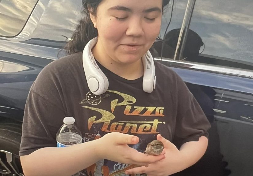 Mejia Dameron - 5-14-25