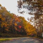 Blue Ridge Parkway Fall (1)