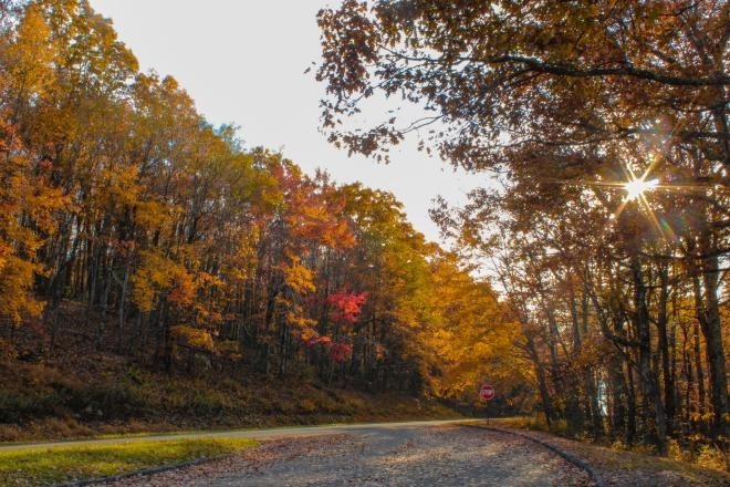 Blue Ridge Parkway Fall (1)