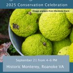save-the-date-2
