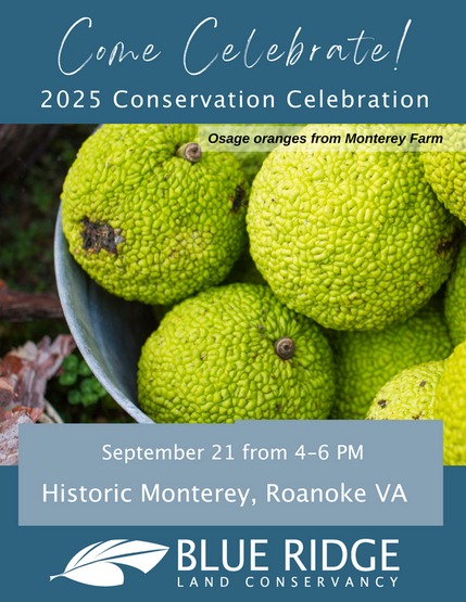 save-the-date-2