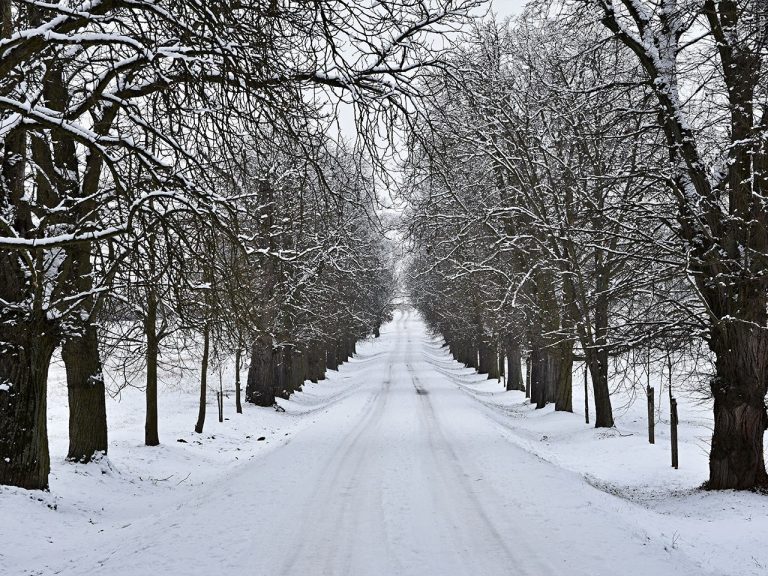 Winter Weather Generic