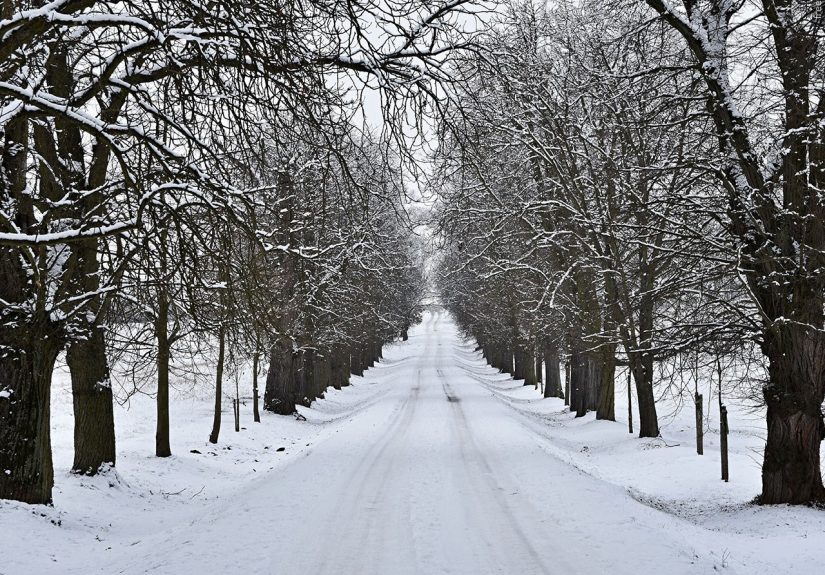 Winter Weather Generic