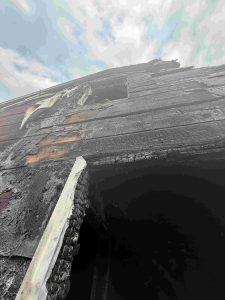 IMG_20260310_120736 (1)