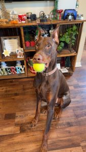 IMG_20260310_120740 (1)