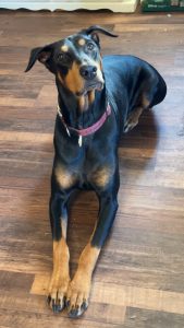 IMG_20260310_120741 (1)