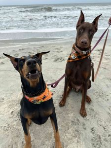 IMG_20260310_120743 (1)