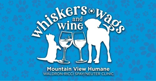 RESIZED Whiskers Promo Image