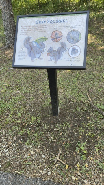 Rocky Mount Park