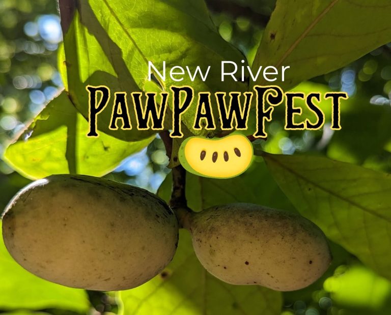 Paw Paw Fest Logo